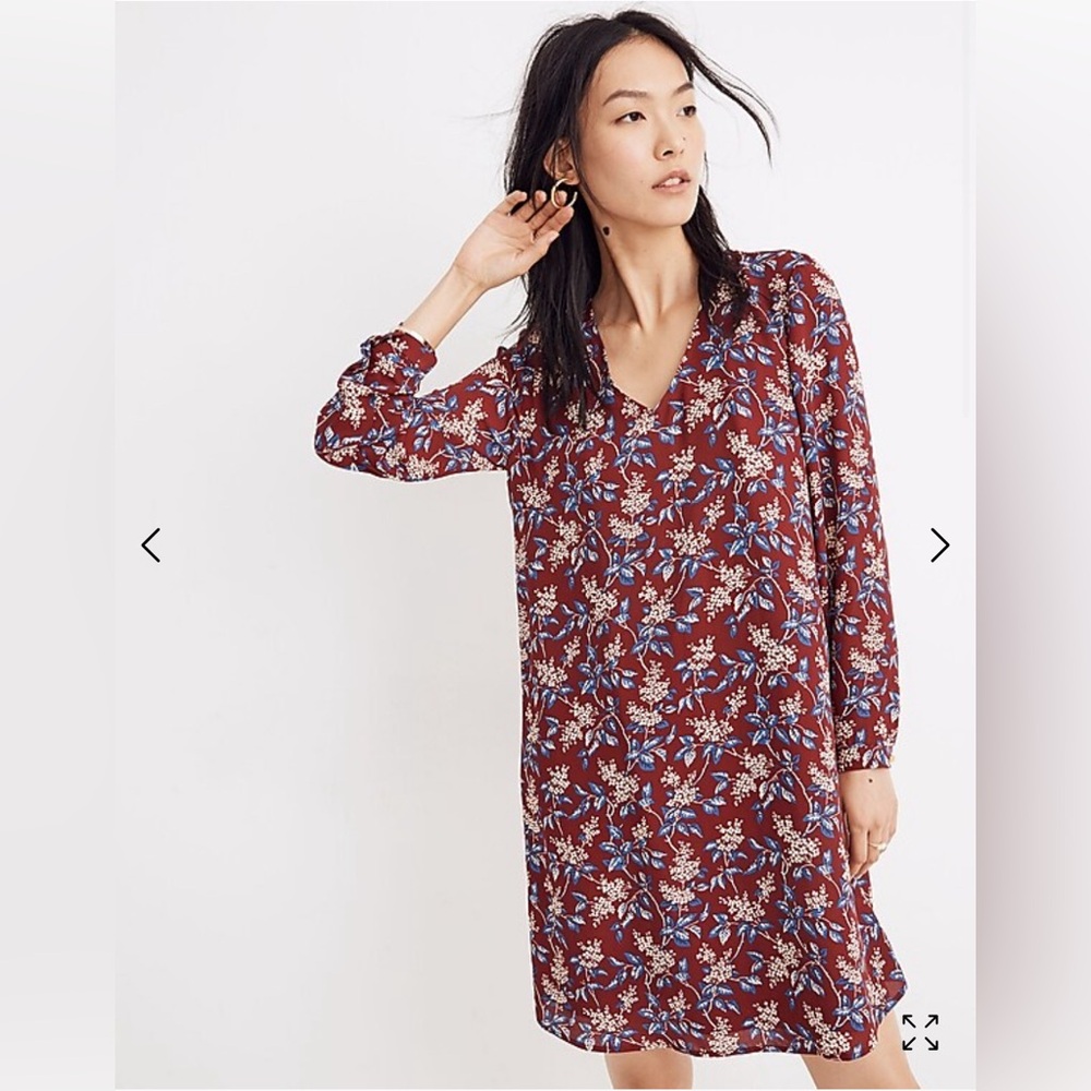 Madewell Burgundy Floral Long Sleeved Button Back Dress